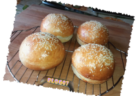 Pains A Burger